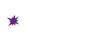 Custom Logo